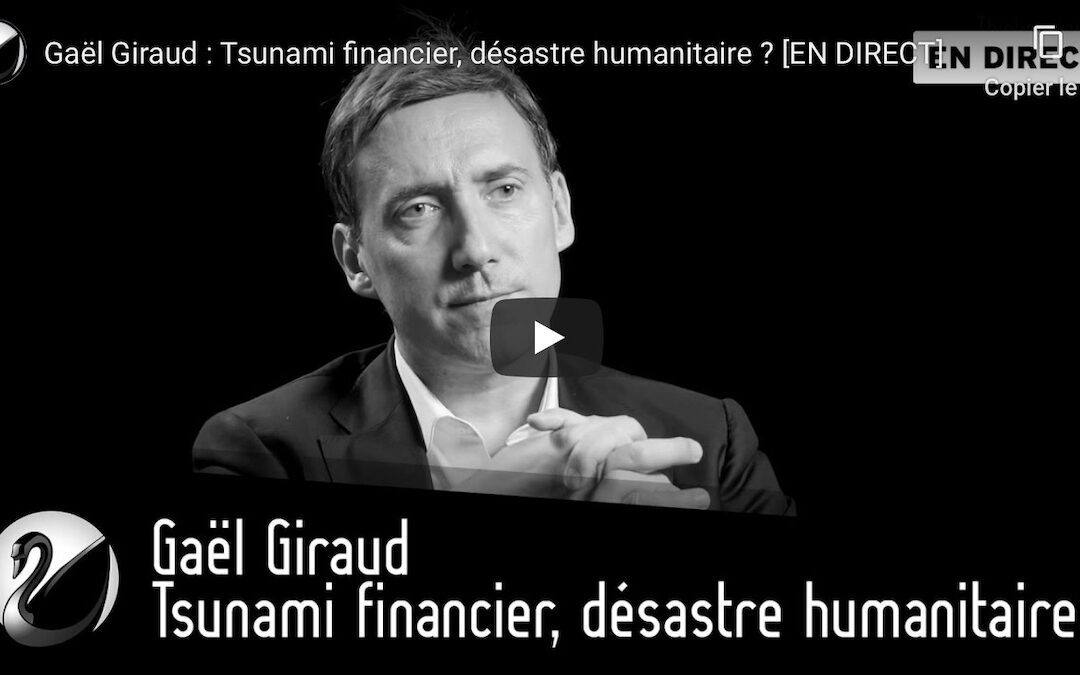 Vidéo | Thinkerview : tsunami financier, désastre humanitaire ?