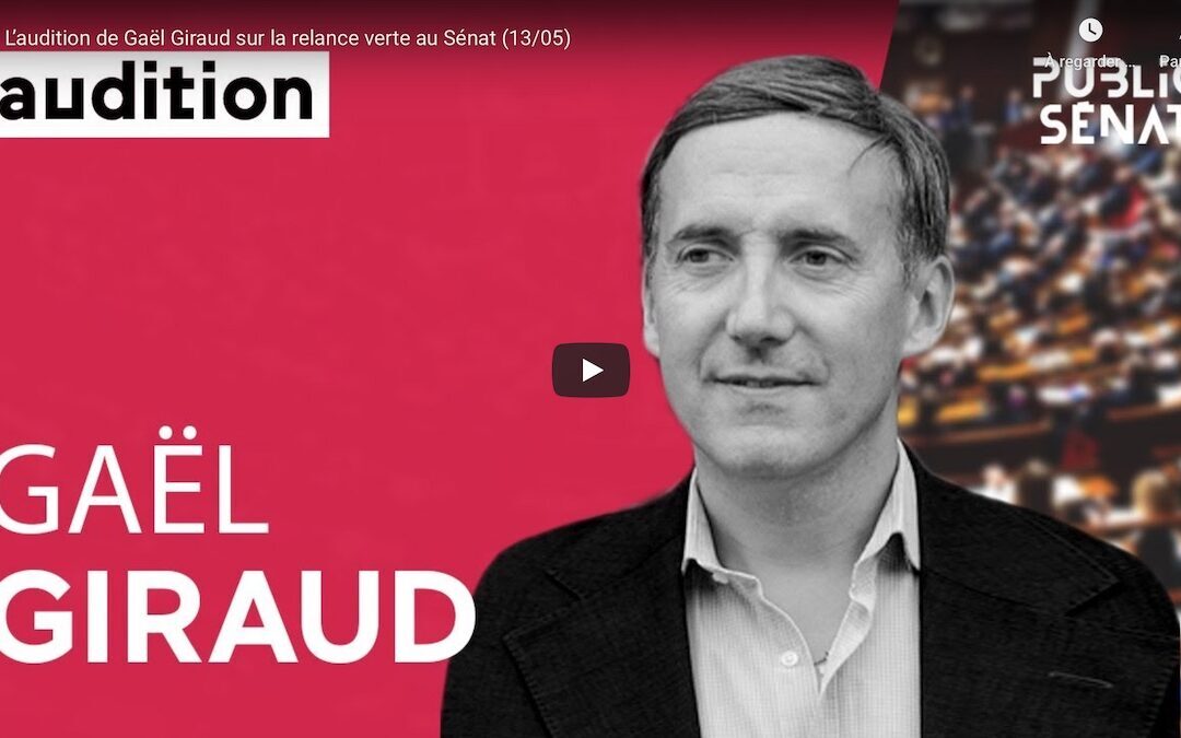 Vidéo | L’audition de Gaël Giraud sur la relance verte au Sénat